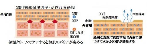 保湿化粧品を使わなければならない理由